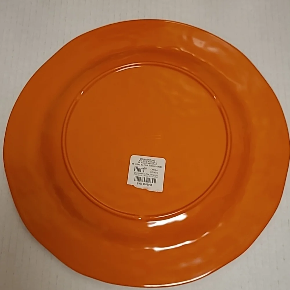 NWT Pair of Pier 1 Carmelo Melamine Plates